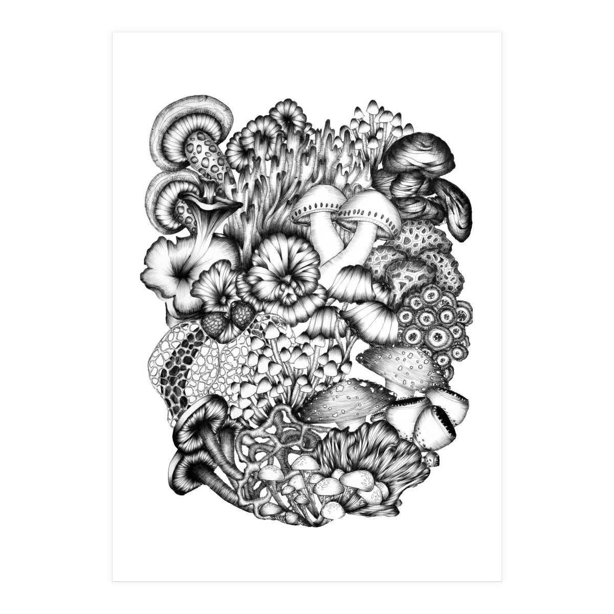 Medley Of Mushrooms (Print Only)