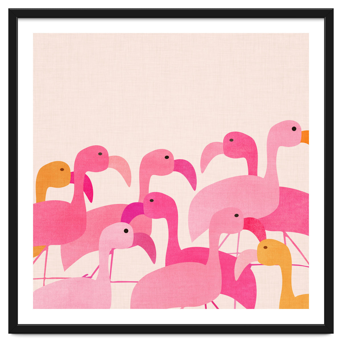 Florida Flamingos