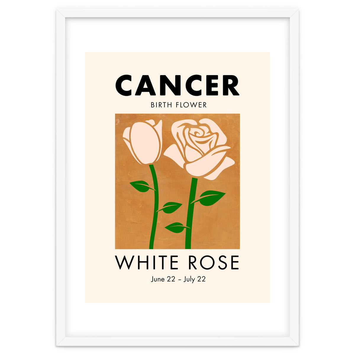 Cancer Birth Flower White Rose