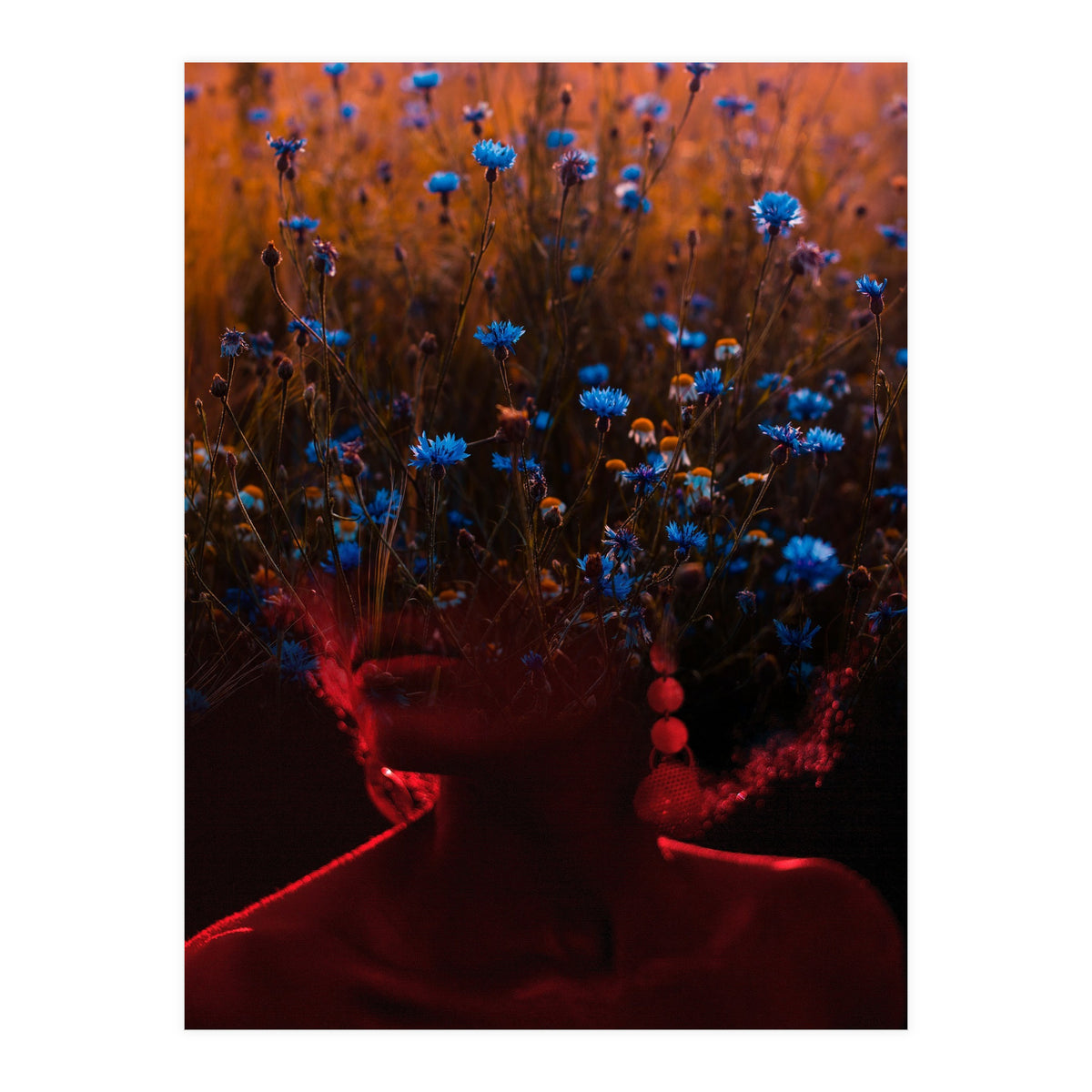 Dream Division 10 (Print Only)