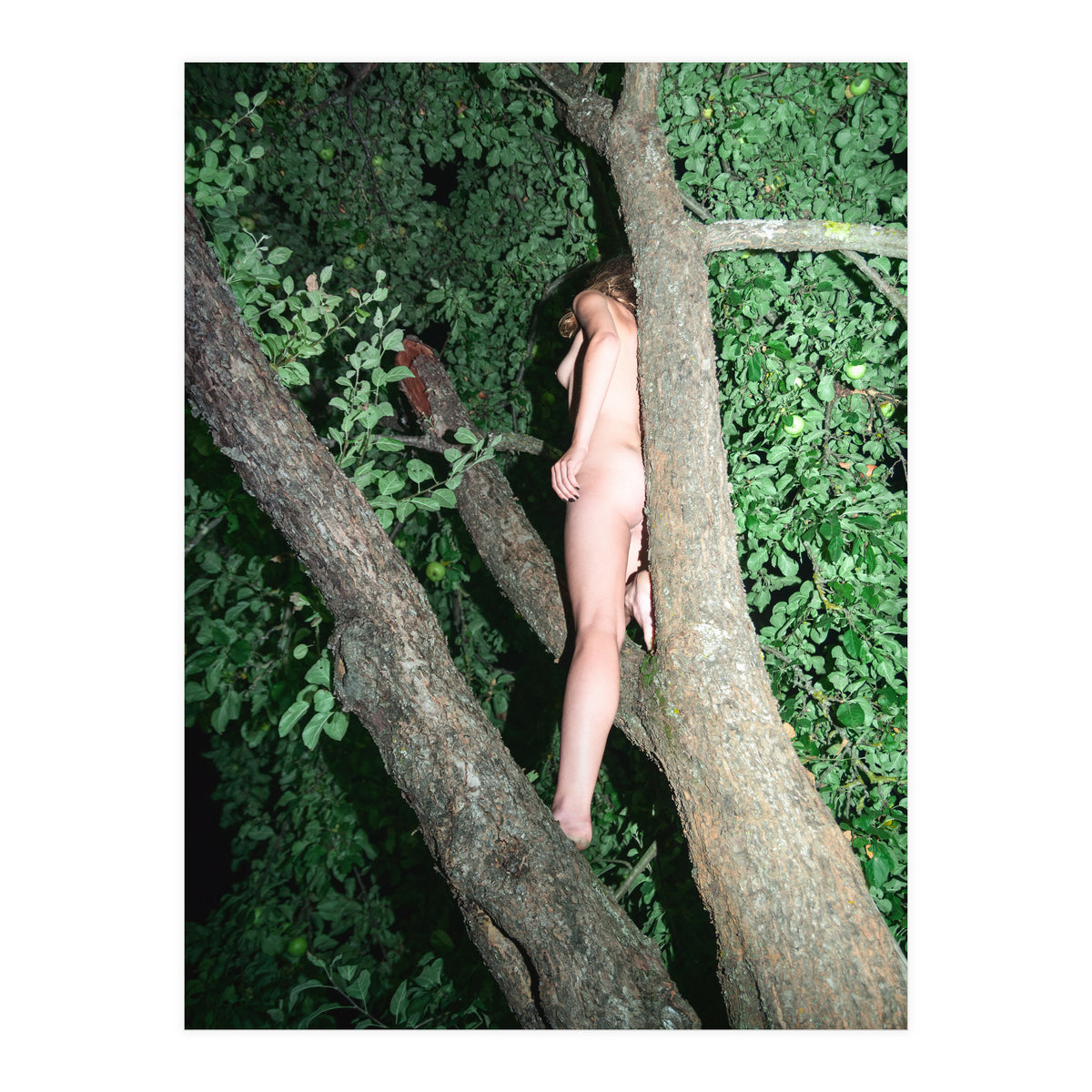 Greenscape (Print Only)