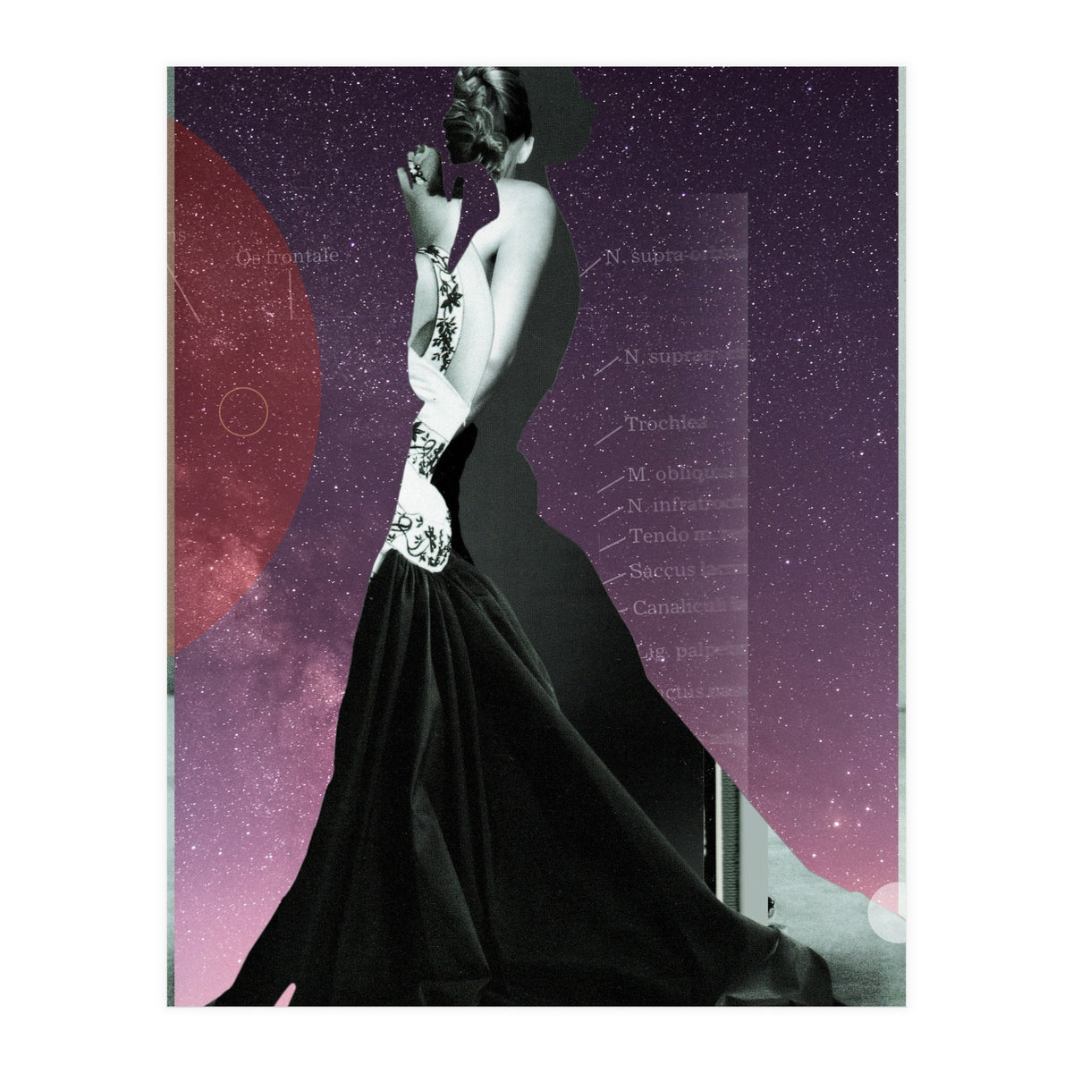 Princess (Print Only)