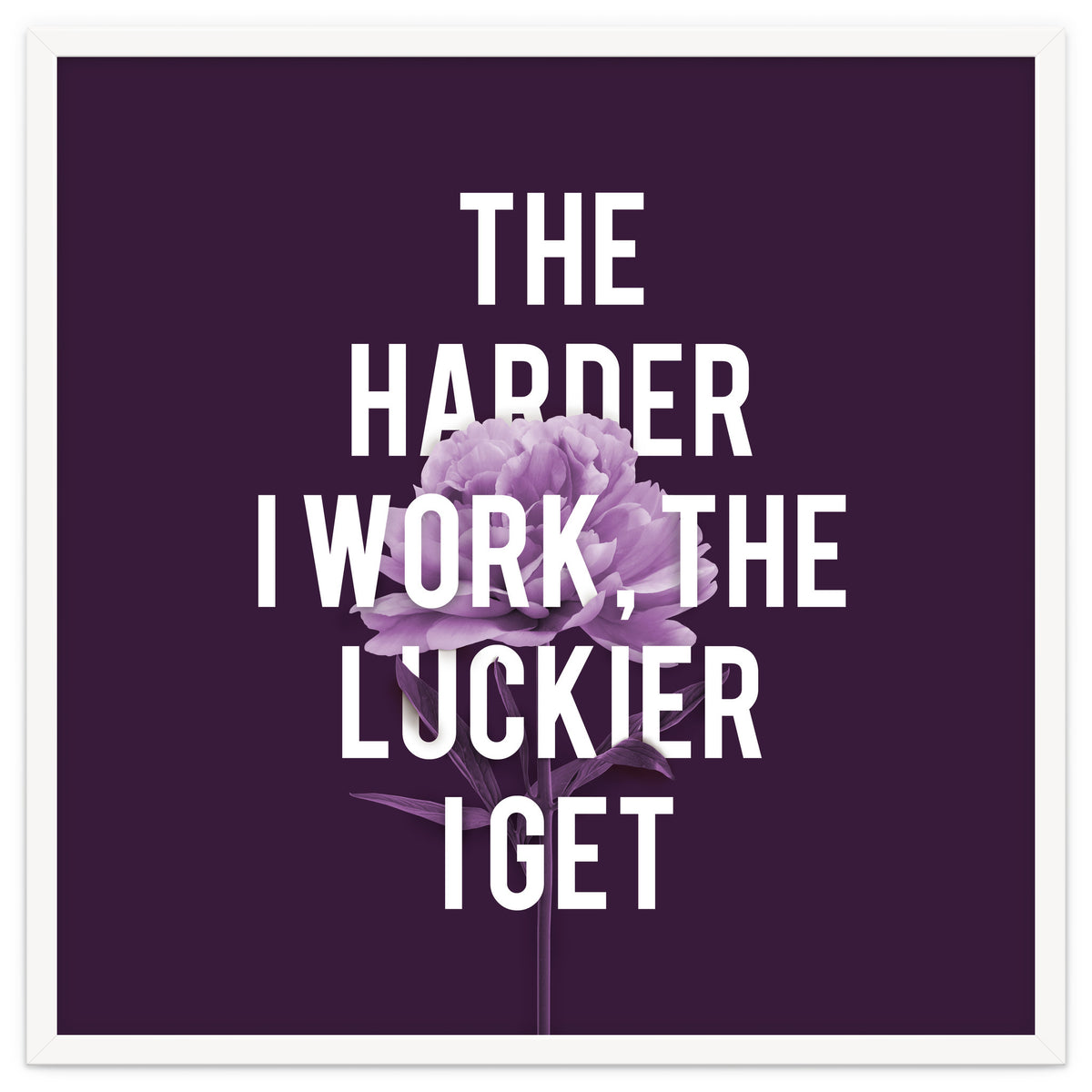 Work Hard Be Lucky