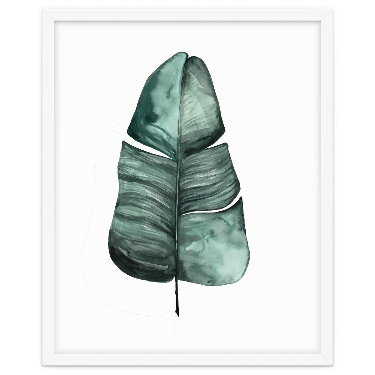 Botanical Illustration Banana Leaf