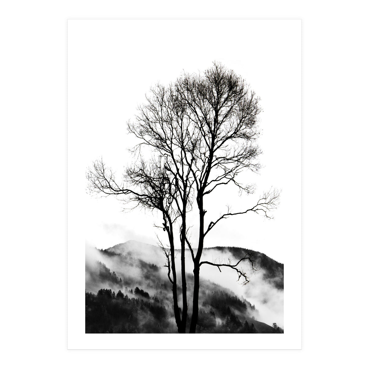 Rocky Mountains (Print Only)