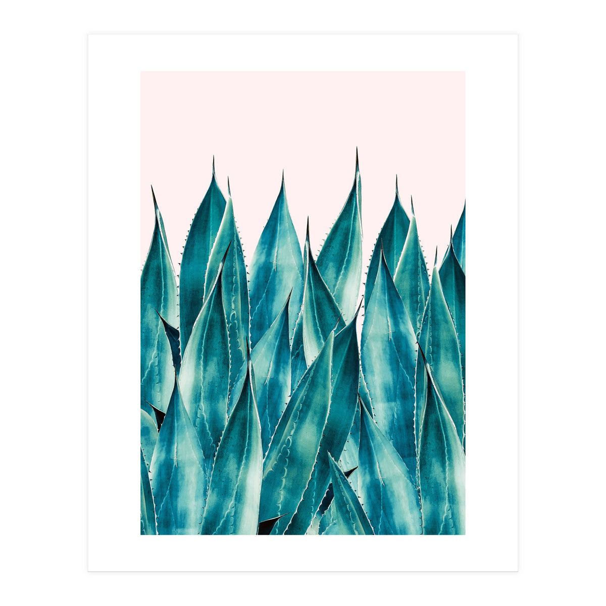 Summer Agave (Print Only)