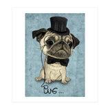 Pug, Gentle Pug (Print Only) thumbnail