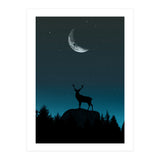 Wild Nature - Nocturne (Print Only) thumbnail