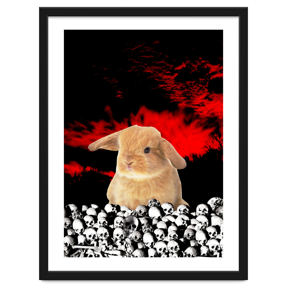 Bunny Of The Apocalypse