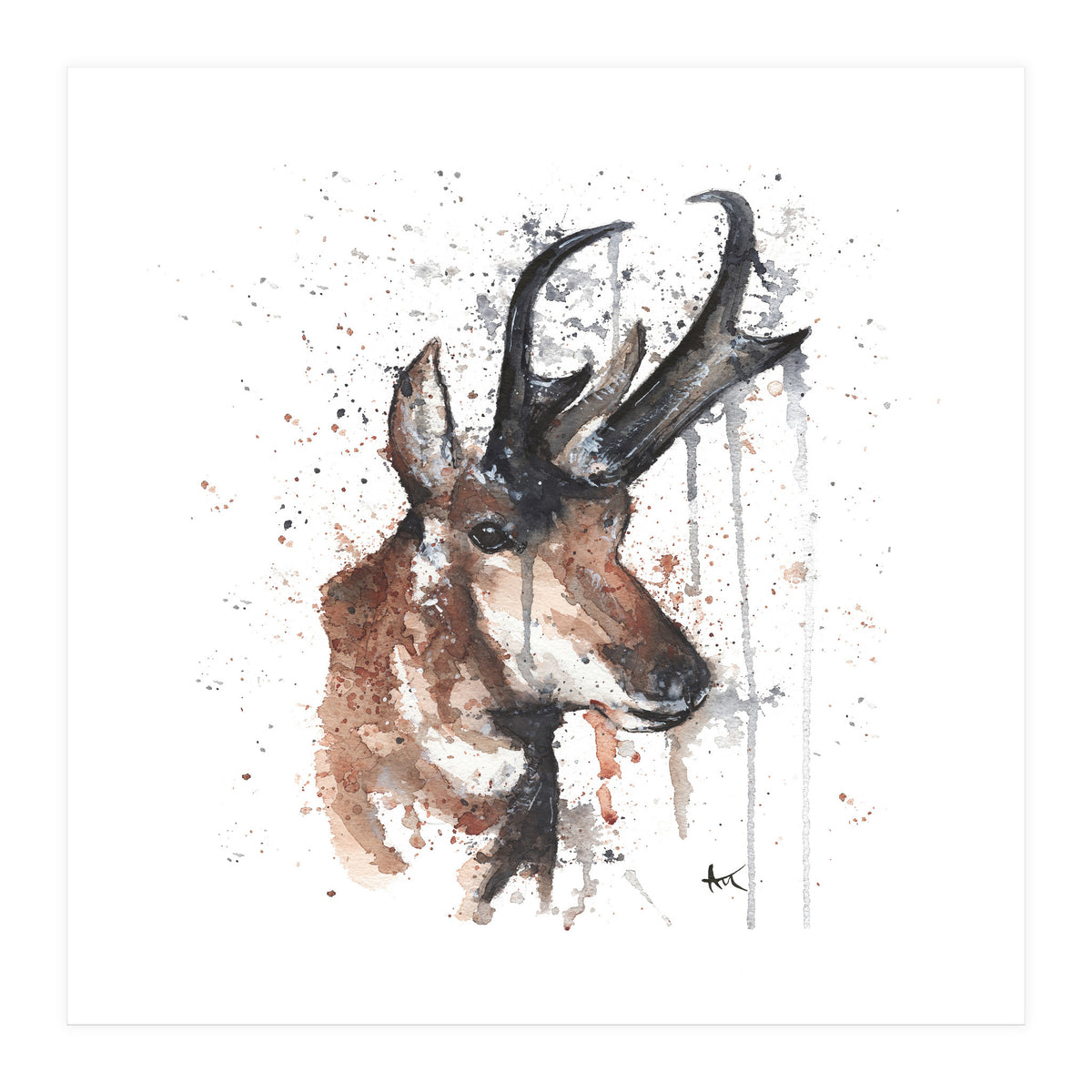 Red deer - Wildlife Collection (Print Only)