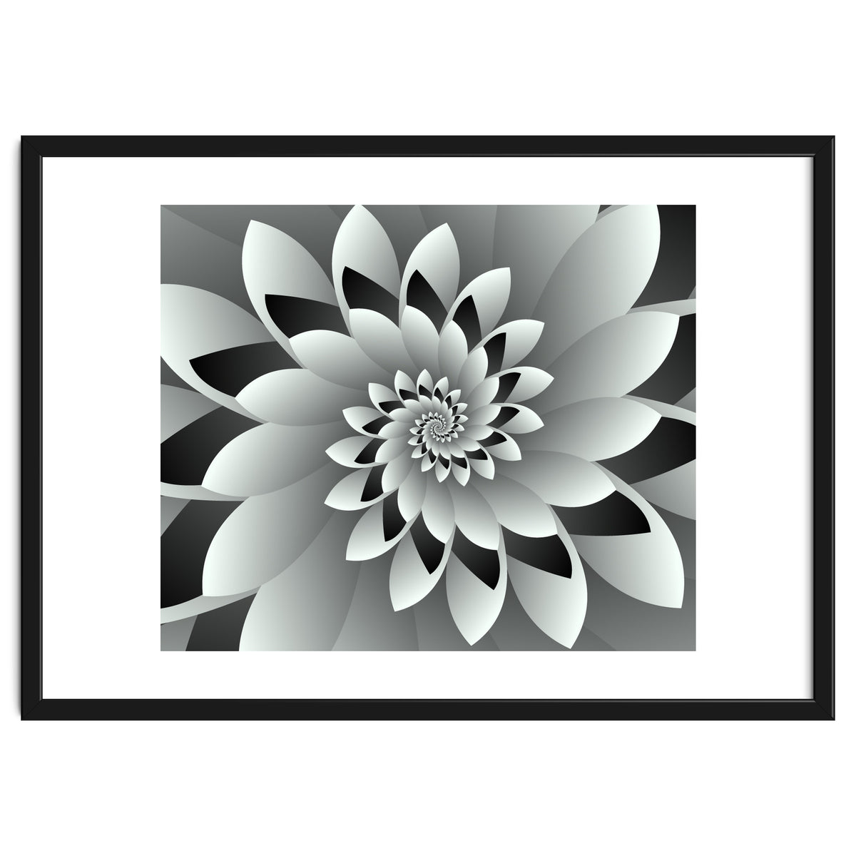 Black & White Floral