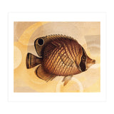 Fish Between Circles 3 (Print Only) thumbnail