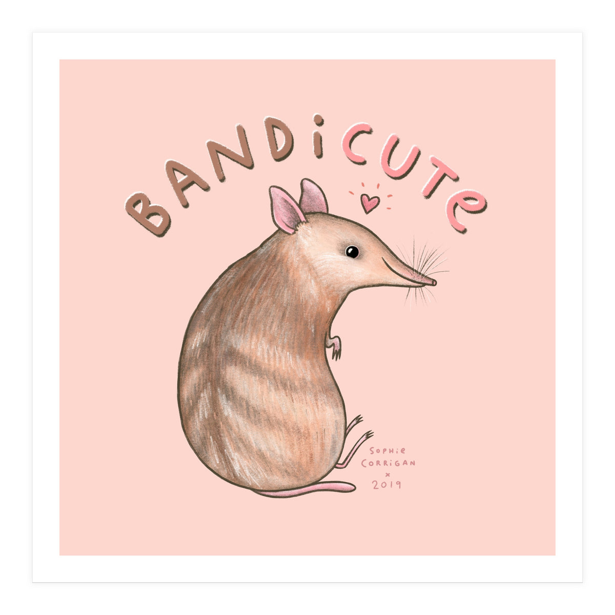 Bandicute (Print Only)