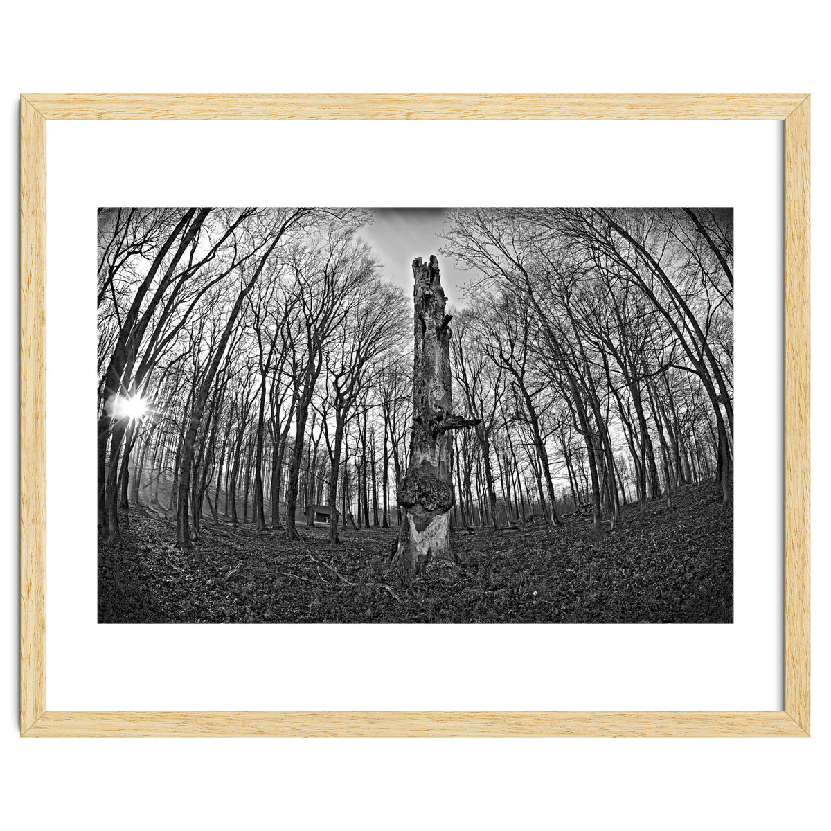 Circle of Growth and decay