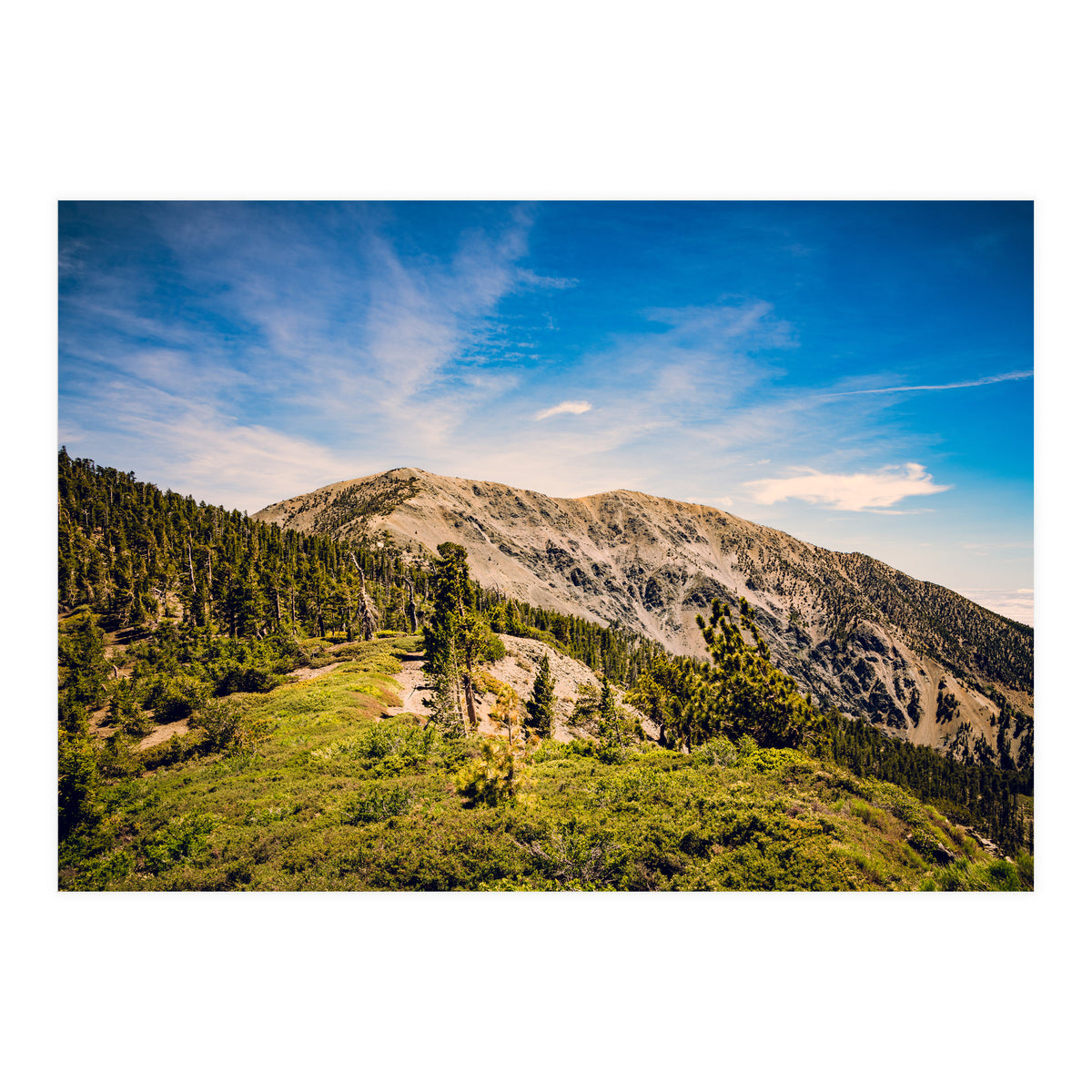 Mt Baldy (Print Only)