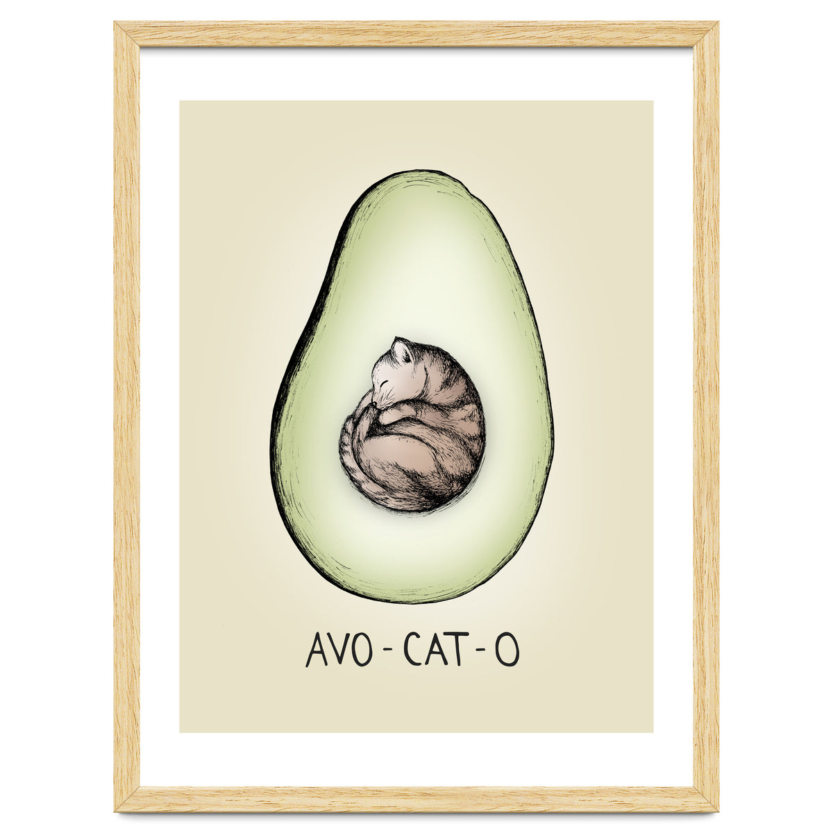 Avo-cat-o