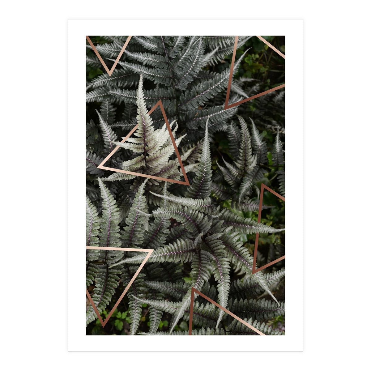 Fern Art (Print Only)