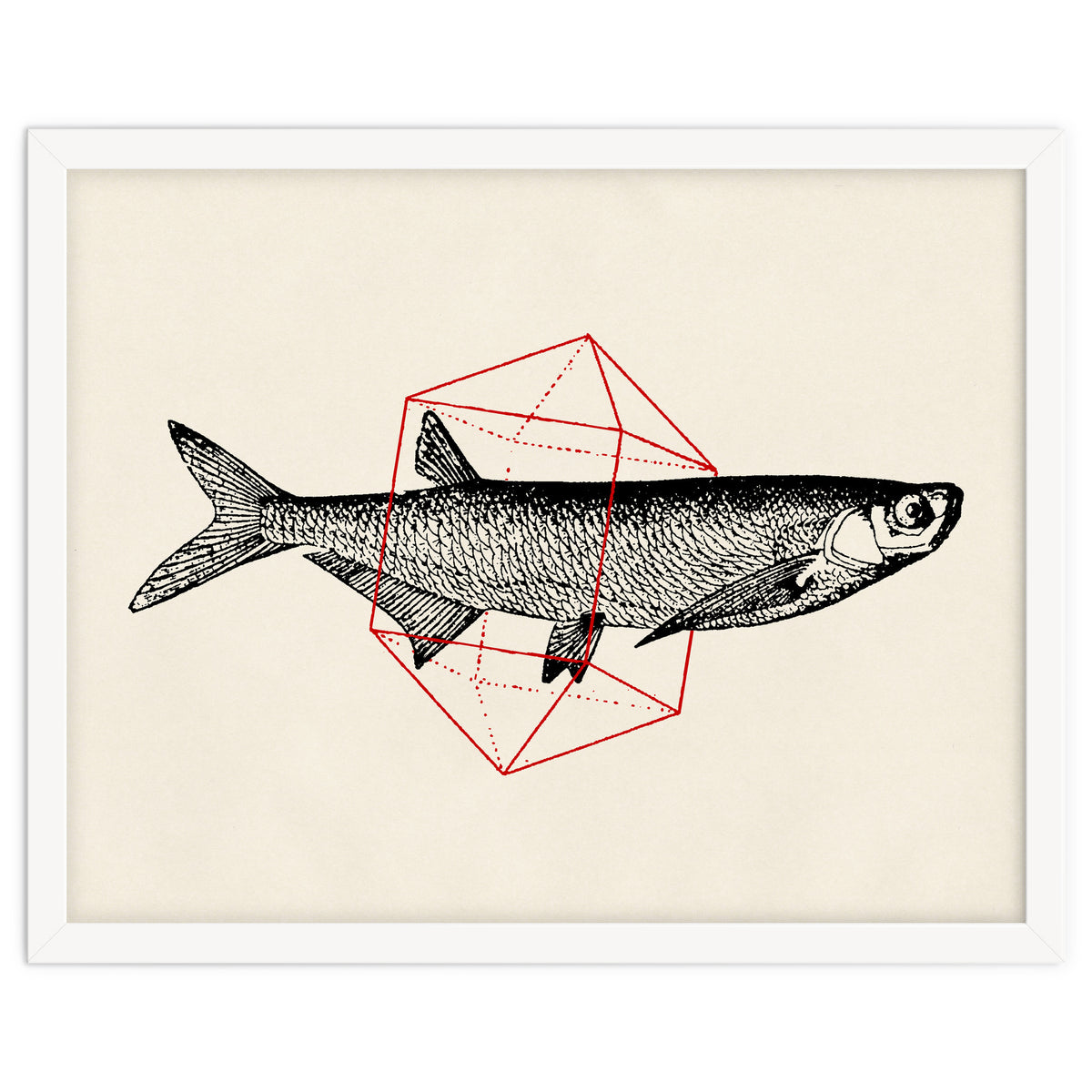 Fish In Geometrics II