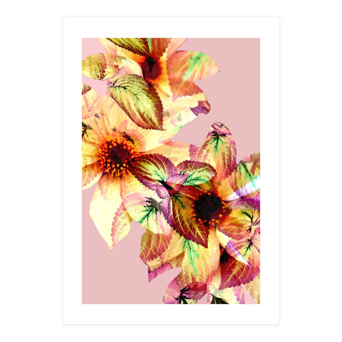 Flower Power (Print Only)
