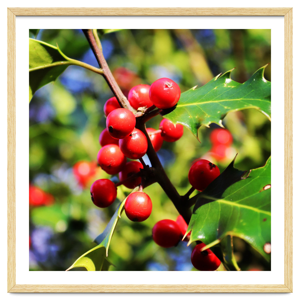 Fab454 Da 548 B 4252 8566 Cb9 Ccef07 Bda