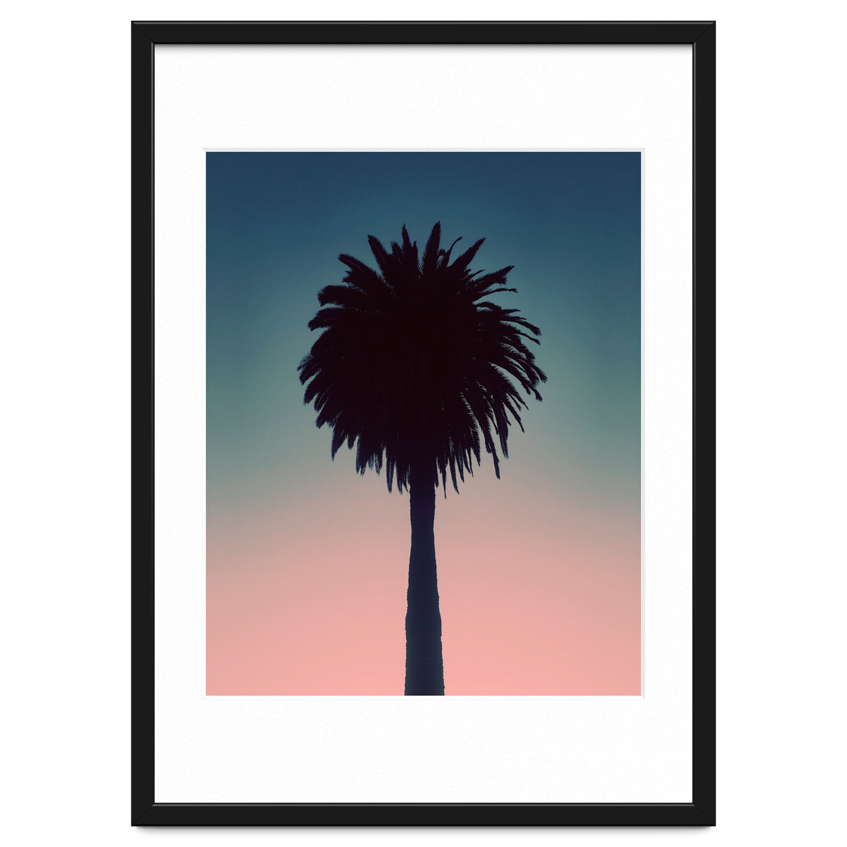 Sundown Palm