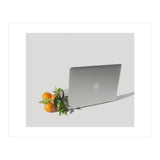 Fruit Salad (Print Only) thumbnail