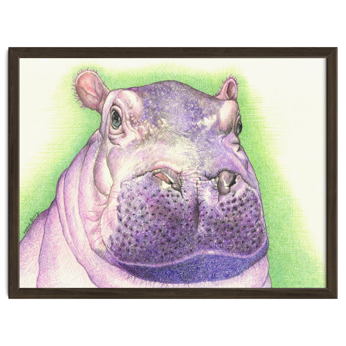 Purple Hippo