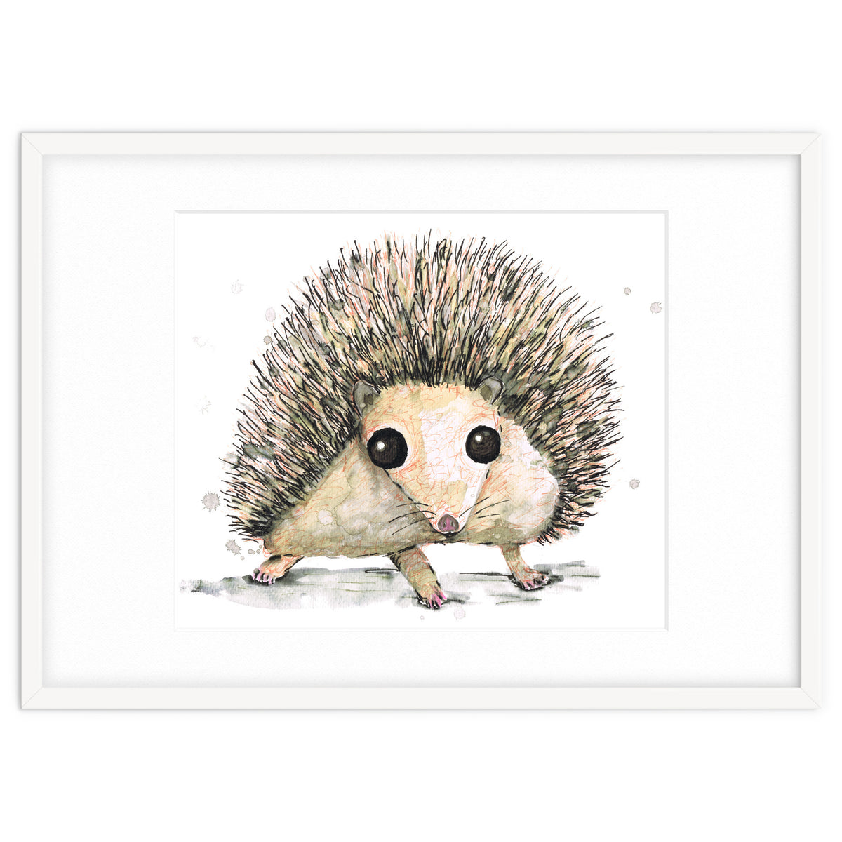 Hedgehog