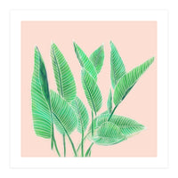 Modern Hand Painted Tropical Green Watercolor Leaf Bird Of Paradise On Pastel Pink (Print Only)