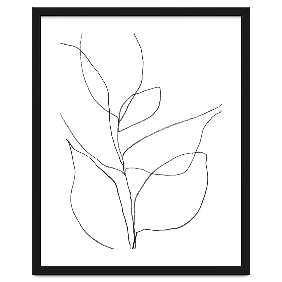 Plant Line Drawing