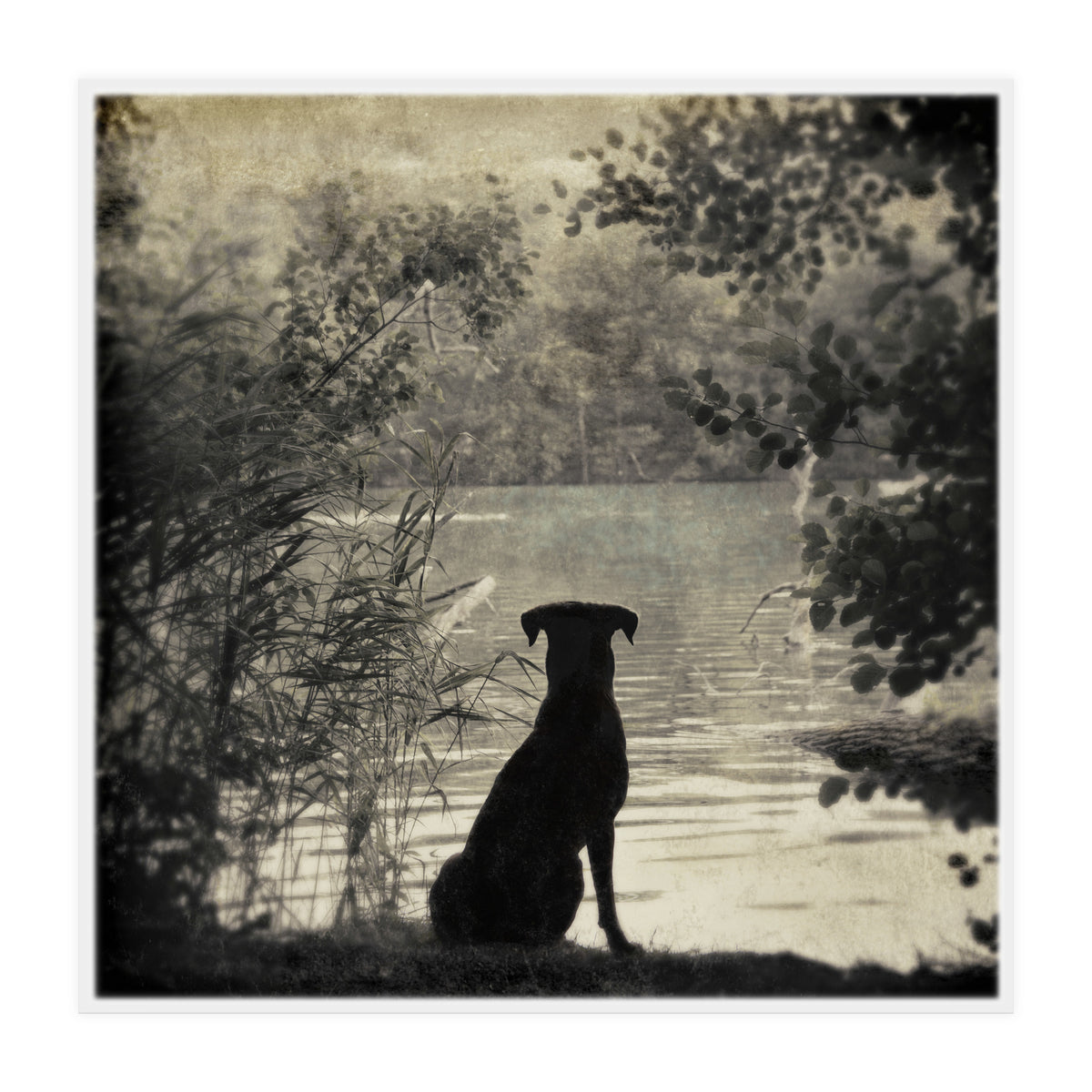 Waiting for you (Print Only)