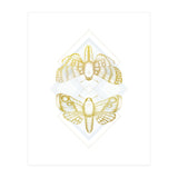 Polillas - Gold (Print Only) thumbnail