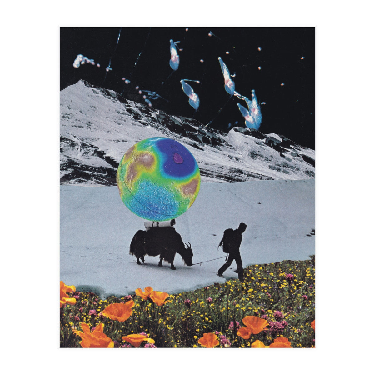 The Last Ice Age (Print Only)