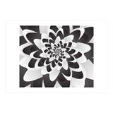 Mono Chrome Flower Spiral   (Print Only) thumbnail