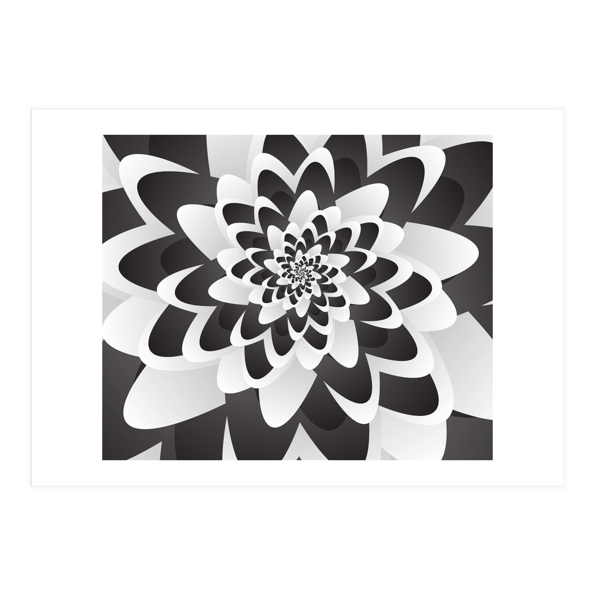 Mono Chrome Flower Spiral   (Print Only)