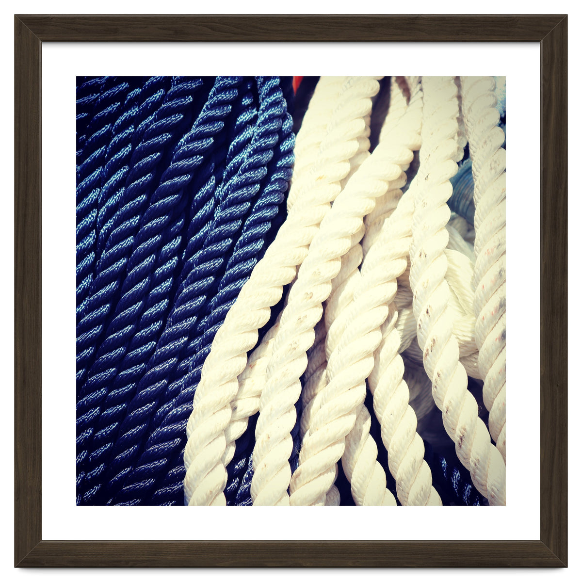 Blue and white fishing rope