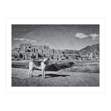 Taos (Print Only) thumbnail