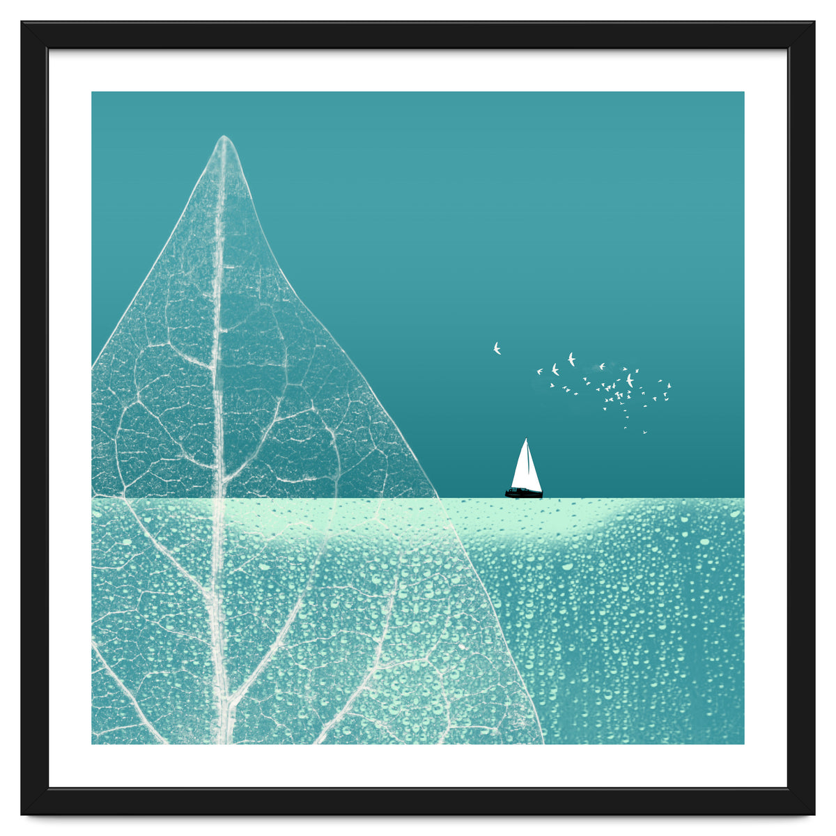 Ocean Wonderland Ii-B