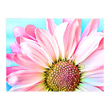PInk Dahlia (Print Only) thumbnail
