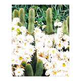 Cactus & Bloom (Print Only) thumbnail