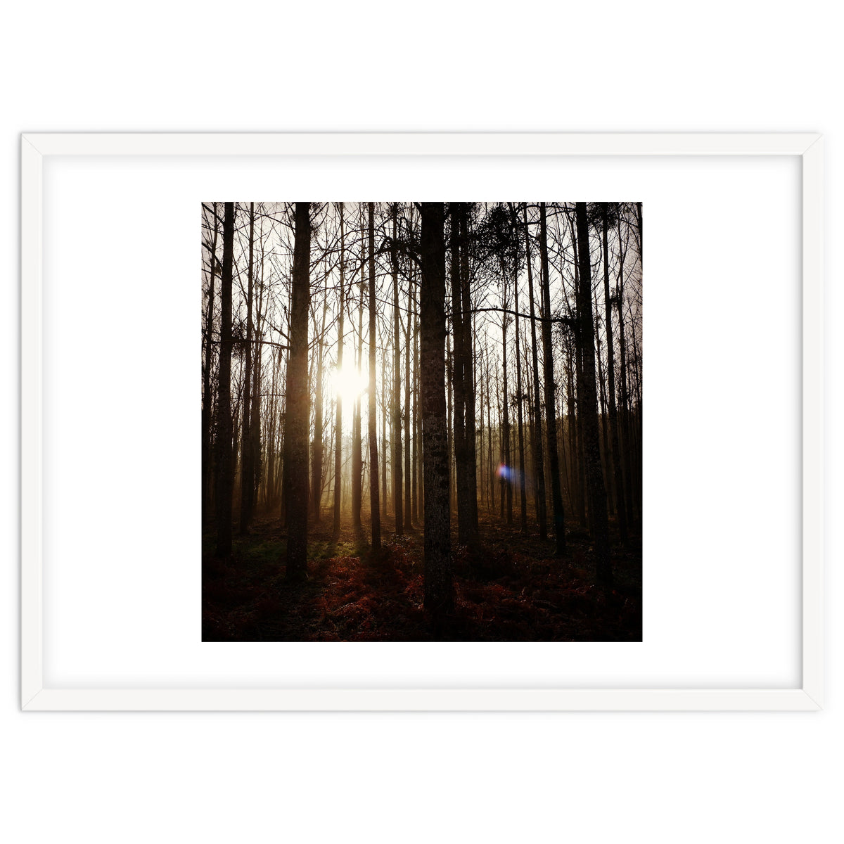 D3 A0 Cf3 E 6509 400 C 926 D 905230 D93 F61