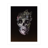 Metamorphosis  (Print Only) thumbnail