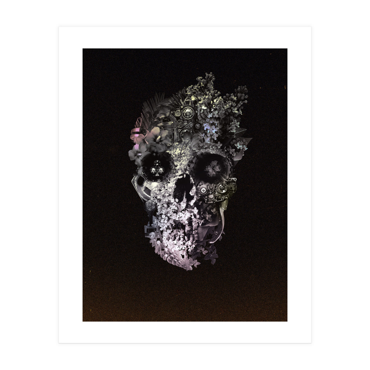 Metamorphosis  (Print Only)