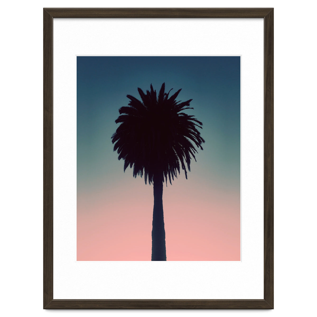 Sundown Palm