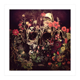 Bloom Skull (Print Only) thumbnail