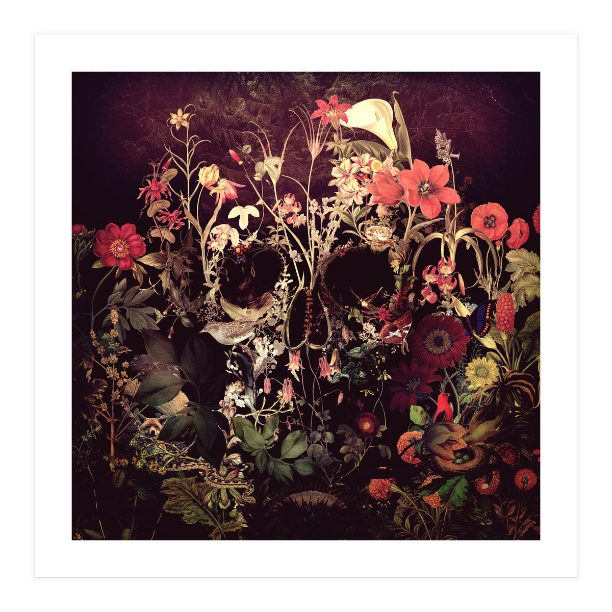 Bloom Skull (Print Only)