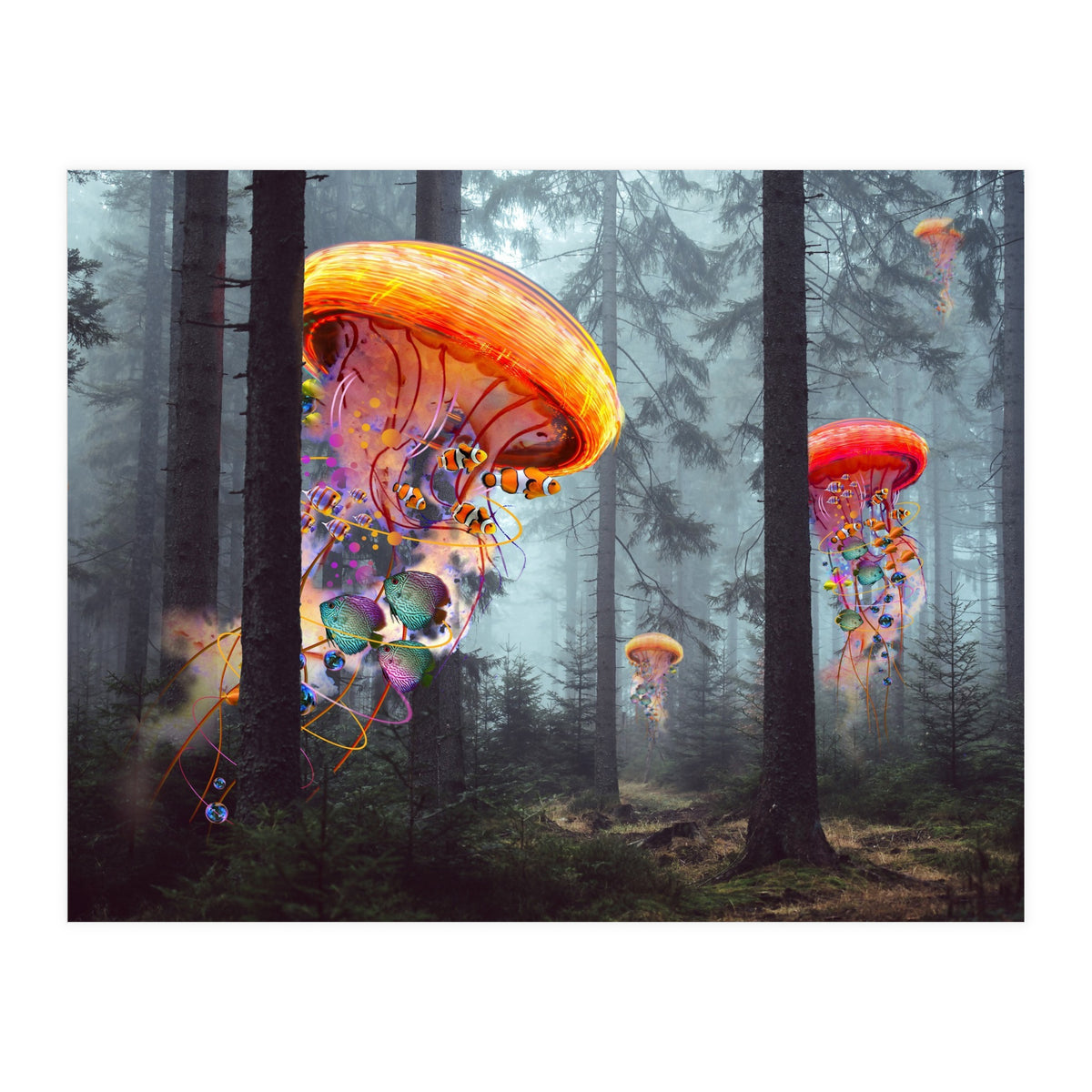 Forest Jellyfish For Print7000 (Print Only)