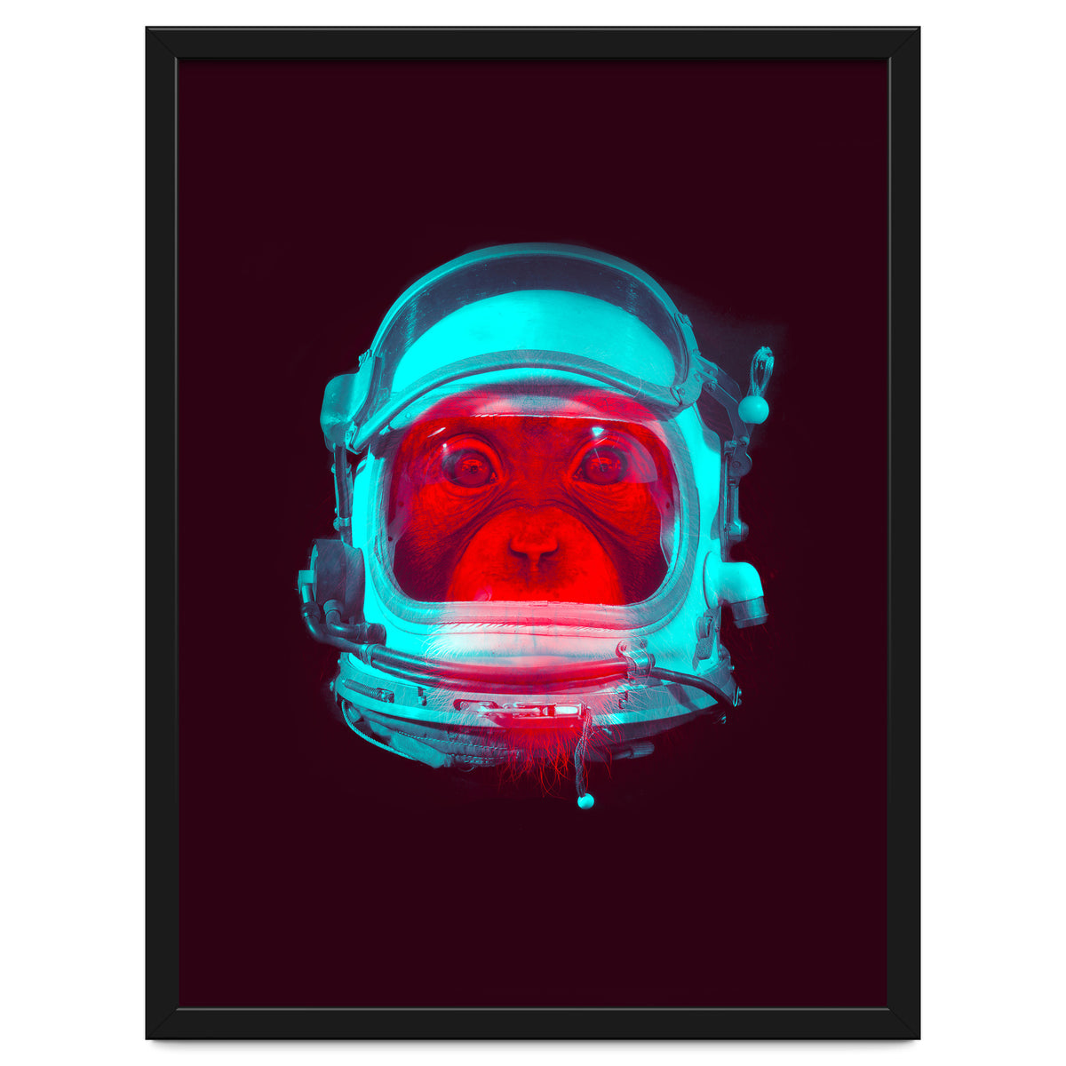 Astronaut