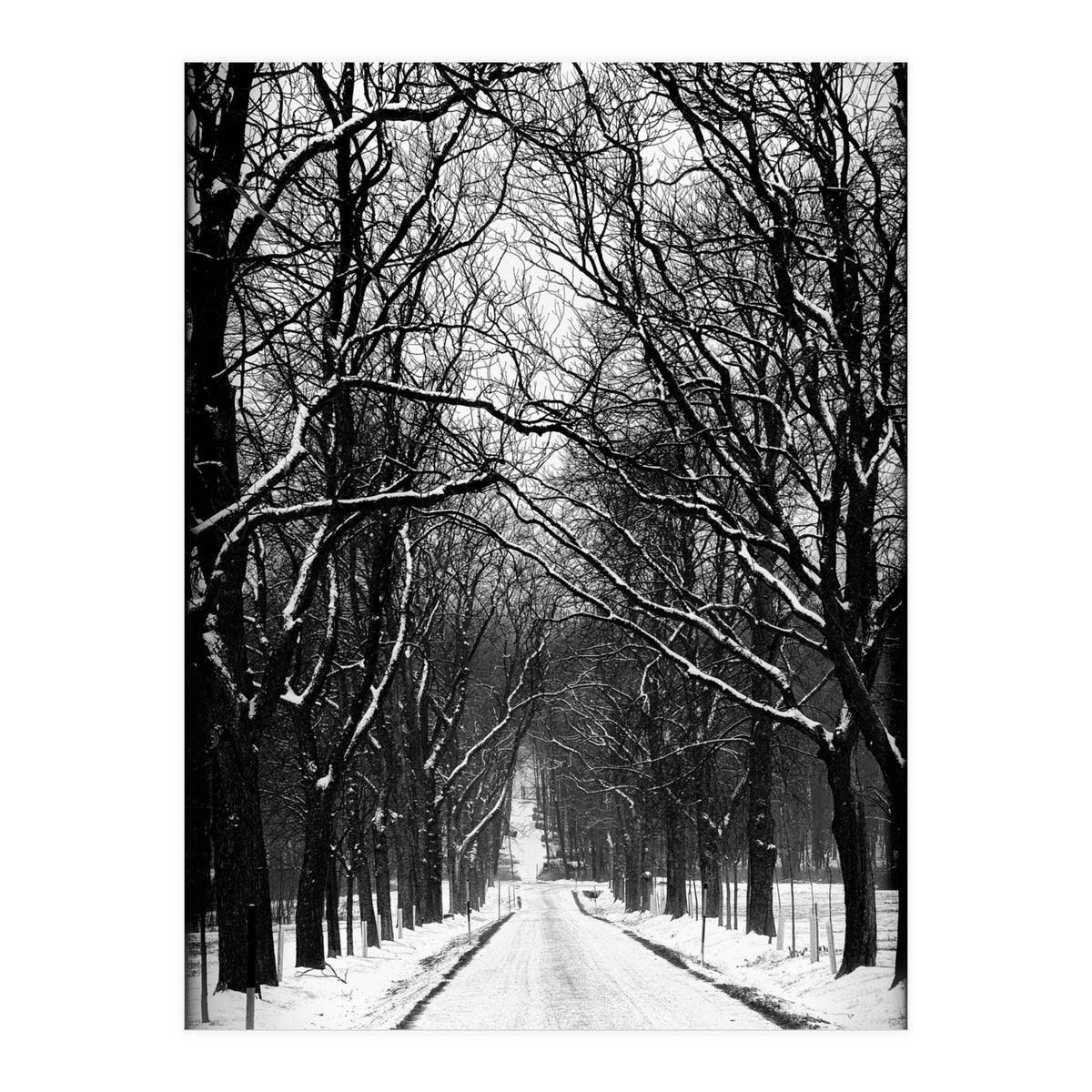 Winterly alley (Print Only)
