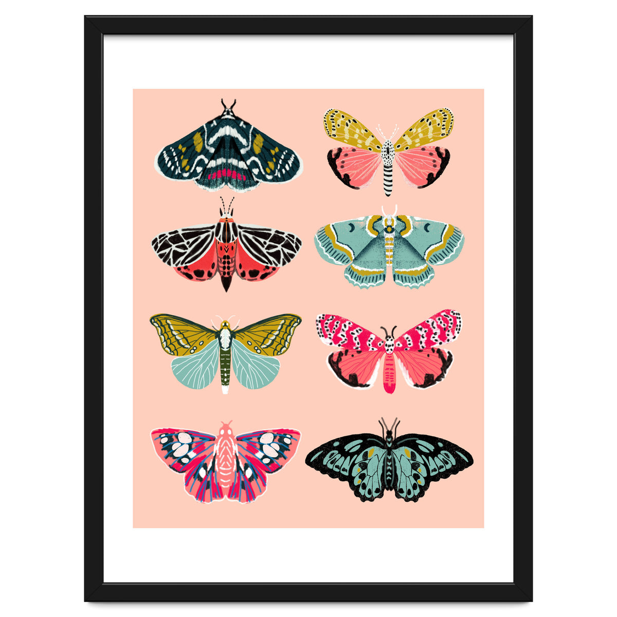 Lepidoptery No. 1